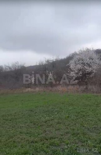 Продаётся  участок 15 сот, photo 8 from 9