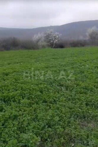 Продаётся  участок 15 сот, photo 7 from 9