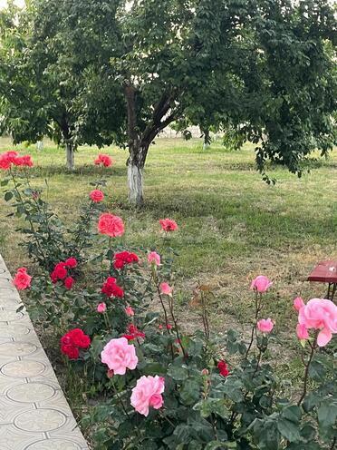 Satılır 4 otaqlı həyət evi/bağ evi 150 m², photo 19 from 25