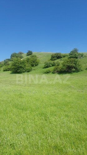 Продаётся  участок 1 870 сот, photo 11 from 20