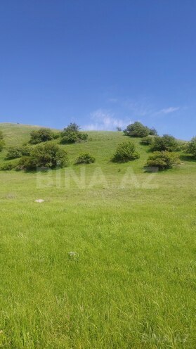 Продаётся  участок 1 870 сот, photo 14 from 20