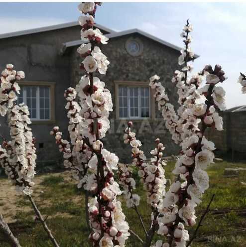 Satılır 4 otaqlı həyət evi/bağ evi 125 m², Albalılıq q., photo 6 from 11