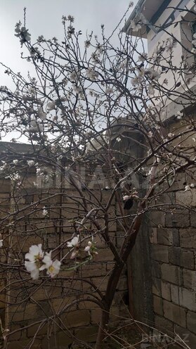 Satılır 4 otaqlı həyət evi/bağ evi 125 m², Albalılıq q., photo 9 from 11