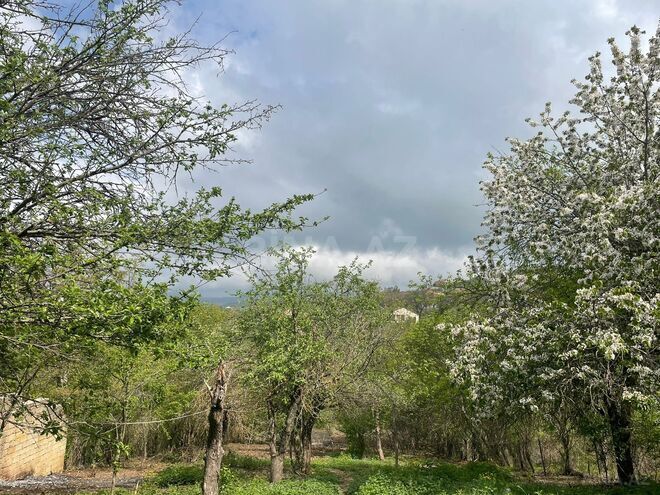 Satılır  torpaq 40 sot, photo 10 from 14