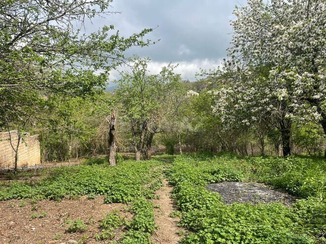 Satılır  torpaq 40 sot, photo 9 from 14