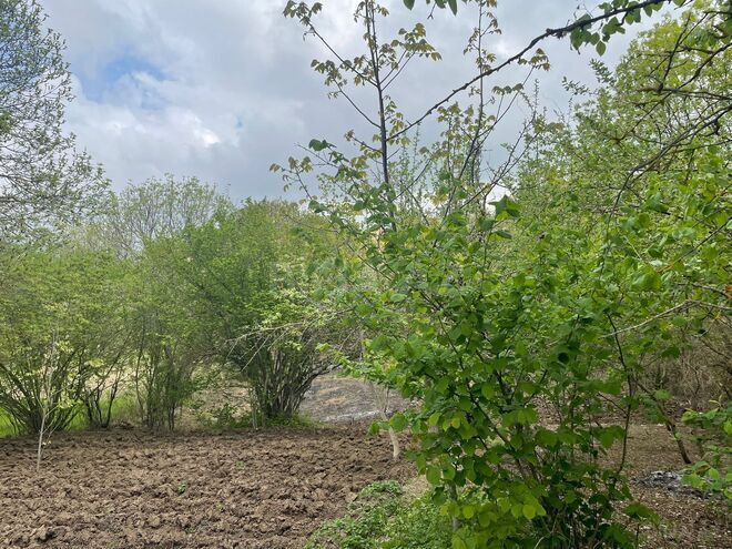 Satılır  torpaq 40 sot, photo 12 from 14