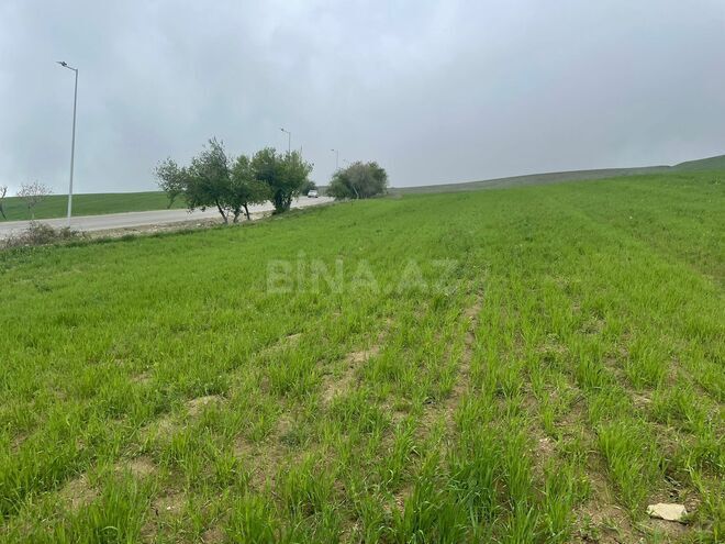 Продаётся  участок 300 сот, photo 10 from 12