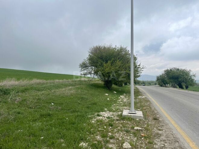 Продаётся  участок 300 сот, photo 6 from 12