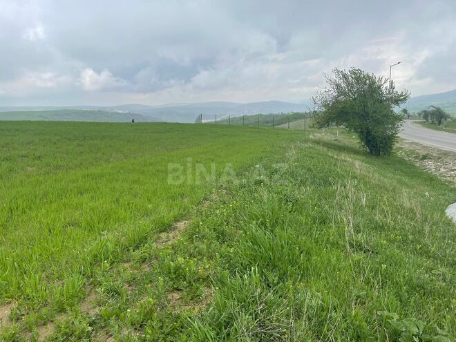 Продаётся  участок 300 сот, photo 11 from 12