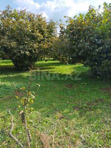 Satılır  torpaq 20 sot, photo 3 from 11