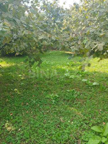 Satılır  torpaq 20 sot, photo 6 from 11