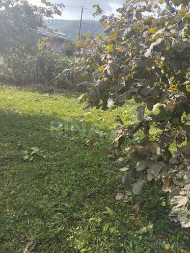 Satılır  torpaq 20 sot, photo 5 from 11