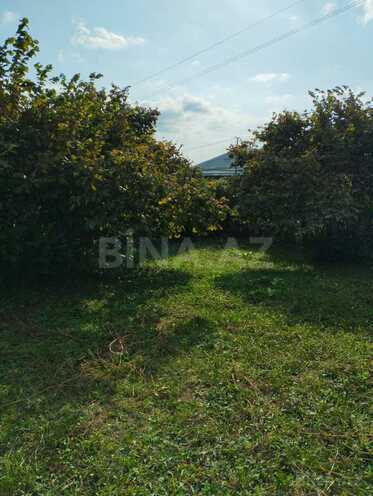 Satılır  torpaq 20 sot, photo 7 from 11