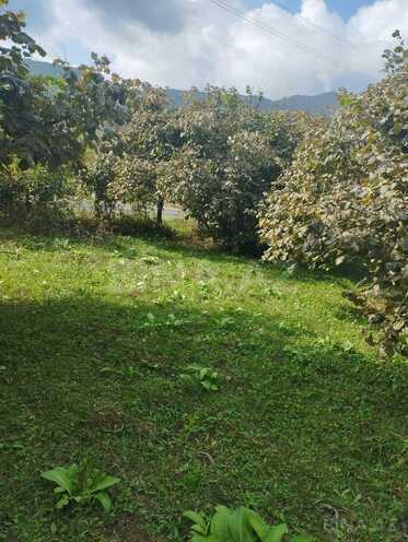 Satılır  torpaq 20 sot, photo 9 from 11