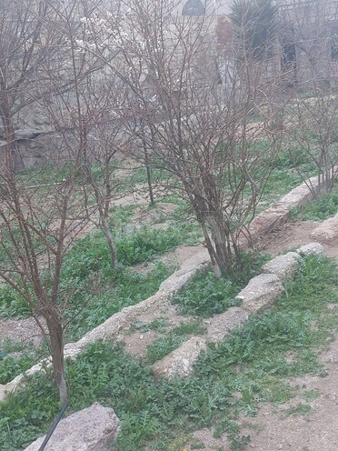 Продаётся 5-комн. дом/дача 90 м², пос. Тюркан, photo 11 from 14