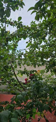 Продаётся 3-комн. дом/дача 150 м², пос. Бина, photo 25 from 27