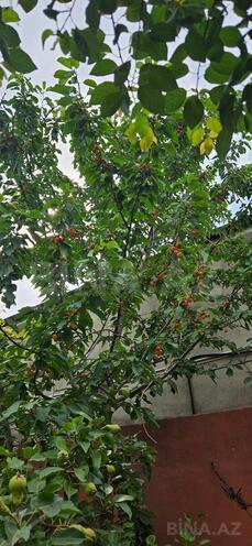 Продаётся 3-комн. дом/дача 150 м², пос. Бина, photo 21 from 27