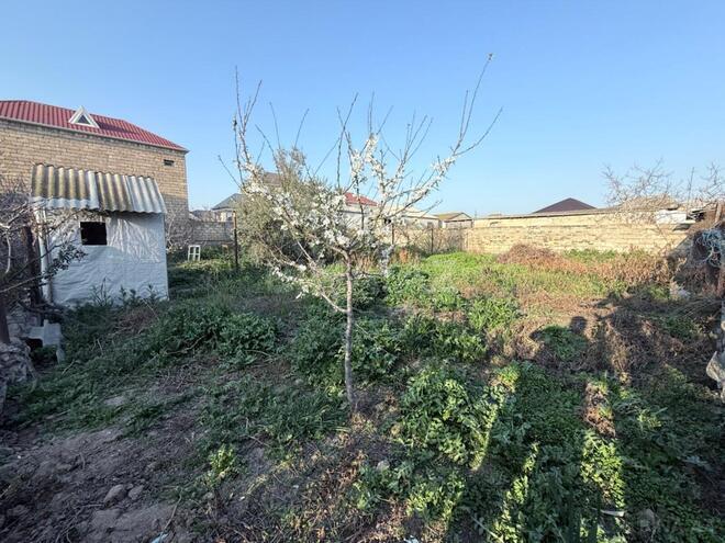 Продаётся  участок 5 сот, Абшеронcкий  р., photo 3 from 6