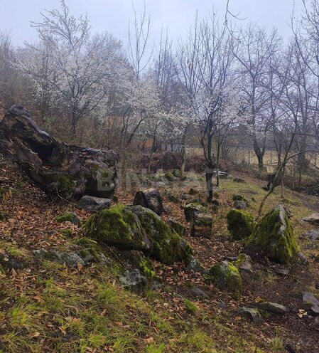 Сдаётся 3-комн. дом/дача 100 м², photo 13 from 16