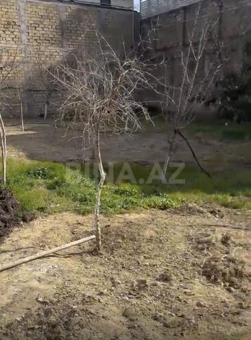 Продаётся  участок 6 сот, м. Насими, photo 4 from 5