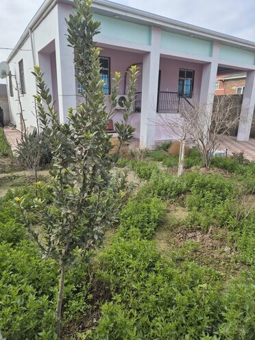 Satılır 3 otaqlı həyət evi/bağ evi 100 m², photo 4 from 17
