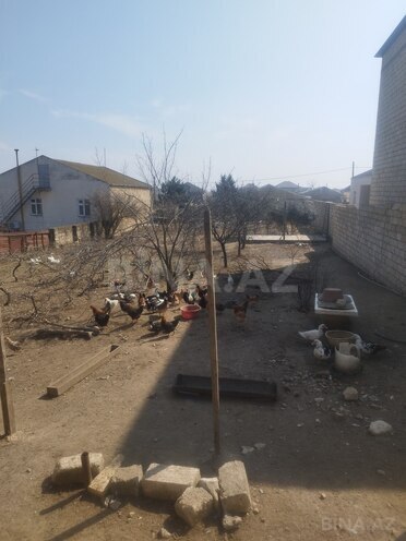 Продаётся  участок 8 сот, пос. Новханы, photo 3 from 9