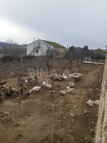 Продаётся  участок 8 сот, пос. Новханы, photo 8 from 9