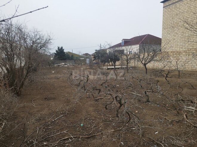 Продаётся  участок 8 сот, пос. Новханы, photo 7 from 9