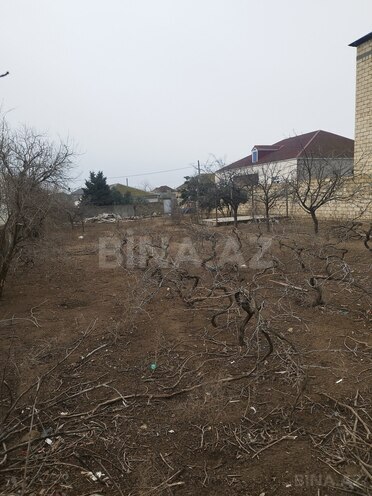 Продаётся  участок 8 сот, пос. Новханы, photo 6 from 9