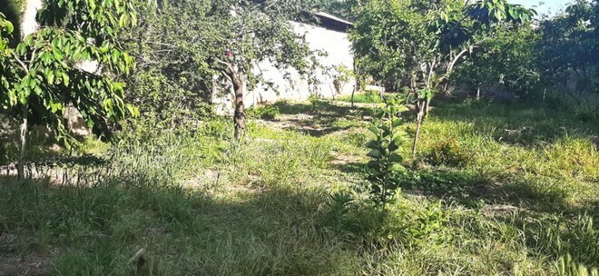 Satılır  torpaq 3 sot, Gənclik m., photo 3 from 7