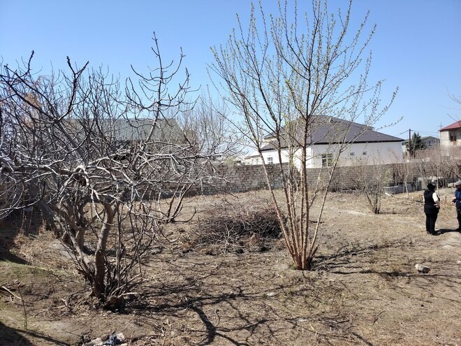 Satılır  torpaq 5 sot, photo 15 from 16