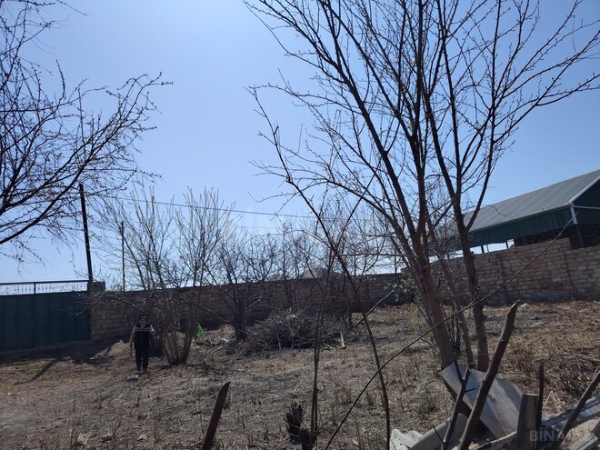 Satılır  torpaq 5 sot, photo 14 from 16