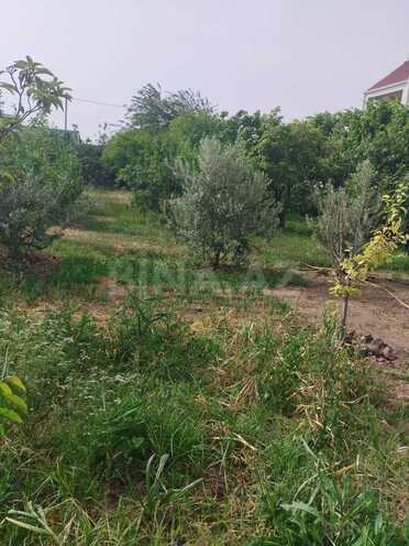 Satılır 5 otaqlı həyət evi/bağ evi 380 m², photo 6 from 30