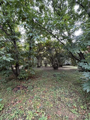 Продаётся  участок 30 сот, photo 4 from 6