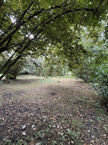 Продаётся  участок 30 сот, photo 5 from 6