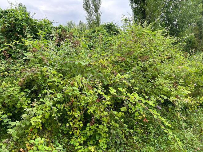 Продаётся  участок 12 сот, photo 7 from 12