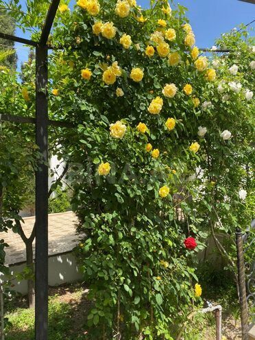 Продаётся 6-комн. дом/дача 450 м², пос. Ази Асланова, photo 27 from 28