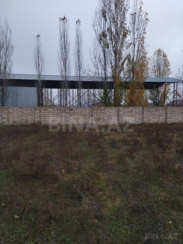 Satılır  torpaq 20 sot, Xaçmaz r., photo 3 from 6