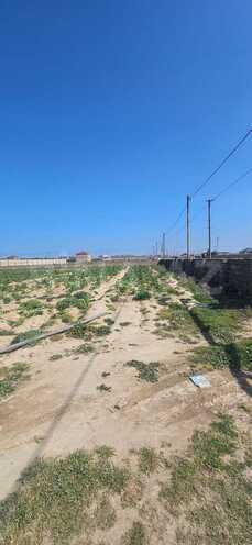 Satılır  torpaq 30 sot, Binə q., photo 3 from 5