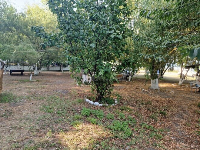 Satılır  obyekt 2 200 m², Nabran r., photo 6 from 19