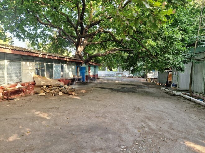 Satılır  obyekt 2 200 m², Nabran r., photo 15 from 19