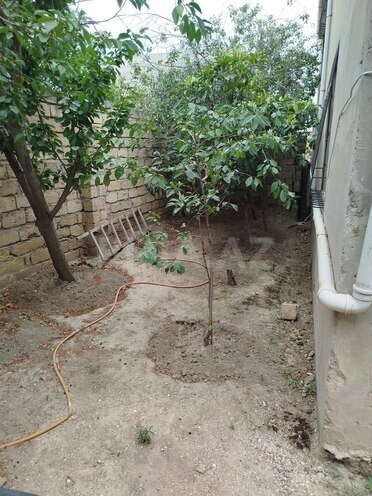 Satılır 4 otaqlı həyət evi/bağ evi 100 m², Mehdiabad q., photo 4 from 14