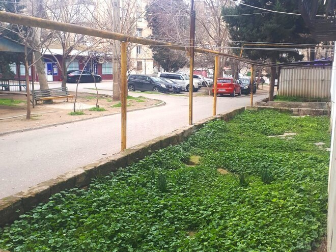 Продаётся 3-комн. вторичка 65 м², м. Нефтчиляр, photo 17 from 26