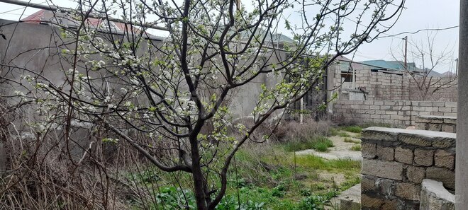 Продаётся 7-комн. дом/дача 242 м², пос. Рамана, photo 8 from 32