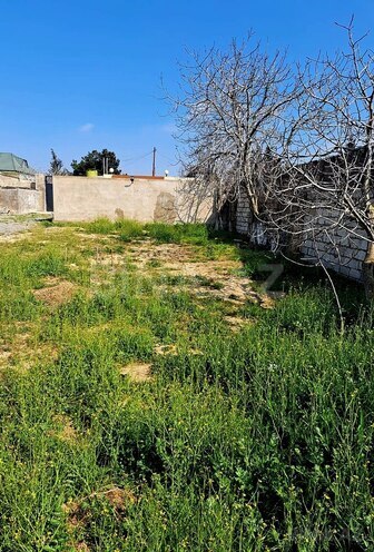 Satılır  torpaq 5.6 sot, Albalılıq q., photo 11 from 17