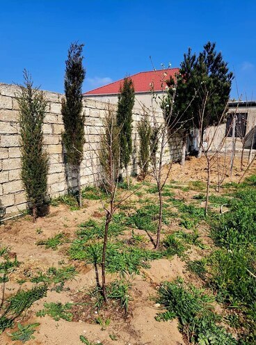 Satılır  torpaq 5.6 sot, Albalılıq q., photo 8 from 17