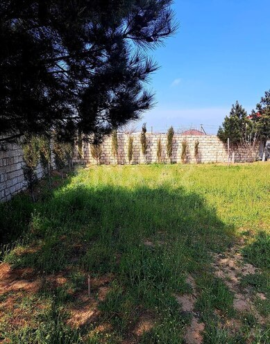 Satılır  torpaq 5.6 sot, Albalılıq q., photo 9 from 17