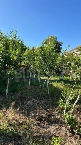 Продаётся 5-комн. дом/дача 210 м², пос. Сарай, photo 7 from 19