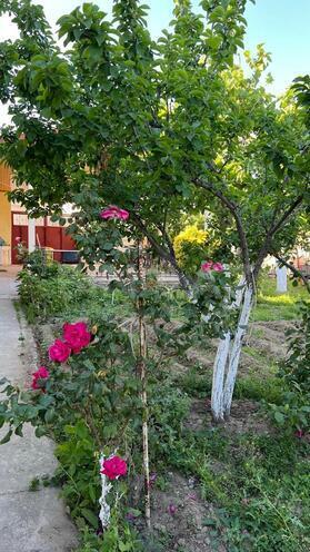 Продаётся 5-комн. дом/дача 210 м², пос. Сарай, photo 8 from 19