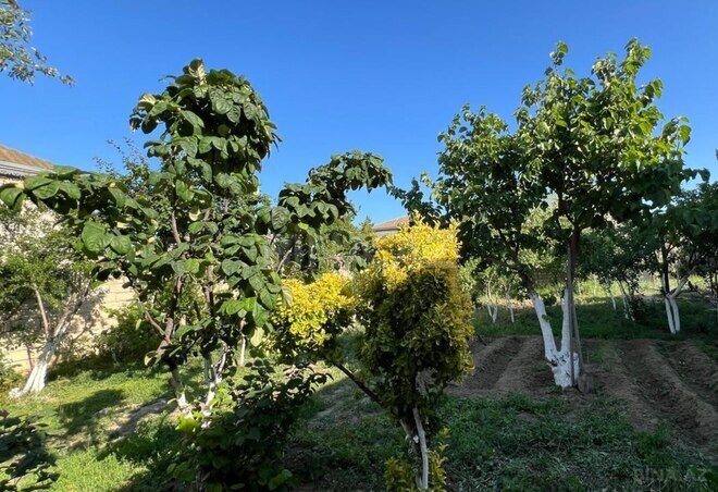 Продаётся 5-комн. дом/дача 210 м², пос. Сарай, photo 6 from 19